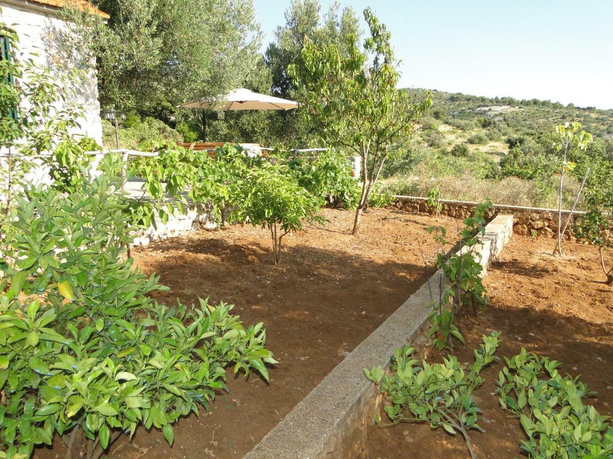 Zele Apartment Dolac Exterior photo